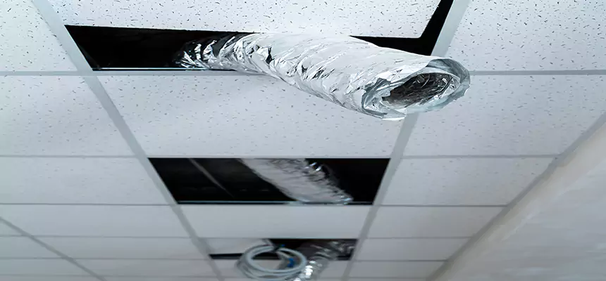 Our Air Duct Pet Hair Removal Services in Columbia Heights, MN