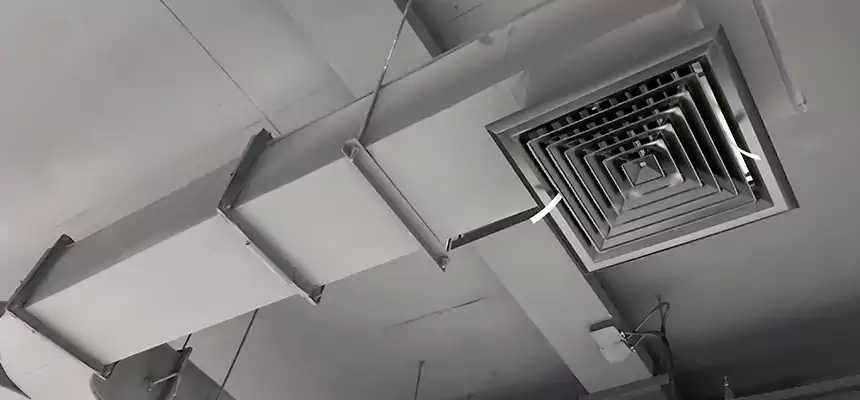 Restorative Allergy Relief Vent Cleaning – Coil, Blower & Housing Detail in Columbia Heights