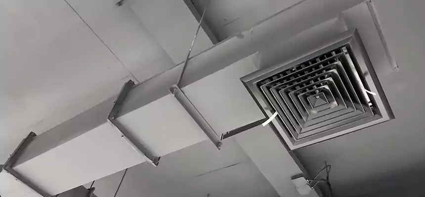 Our Rodent Droppings In Vents Services in Columbia Heights, MN