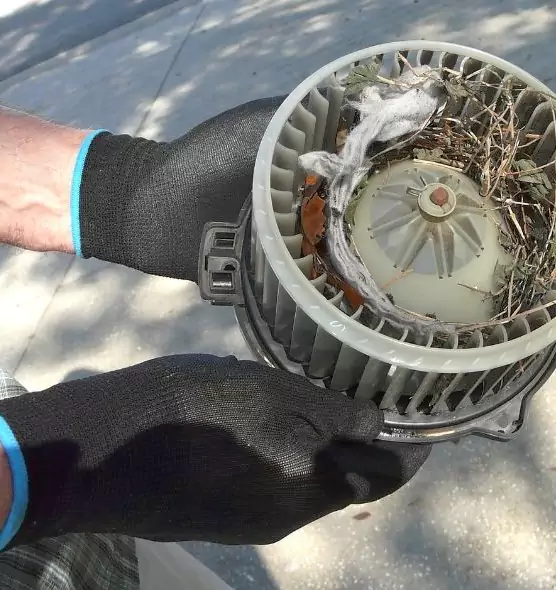 About Air Duct Mice Removal in Columbia Heights, MN