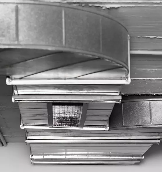 Professional Air Duct Pet Hair Removal in Columbia Heights, MN