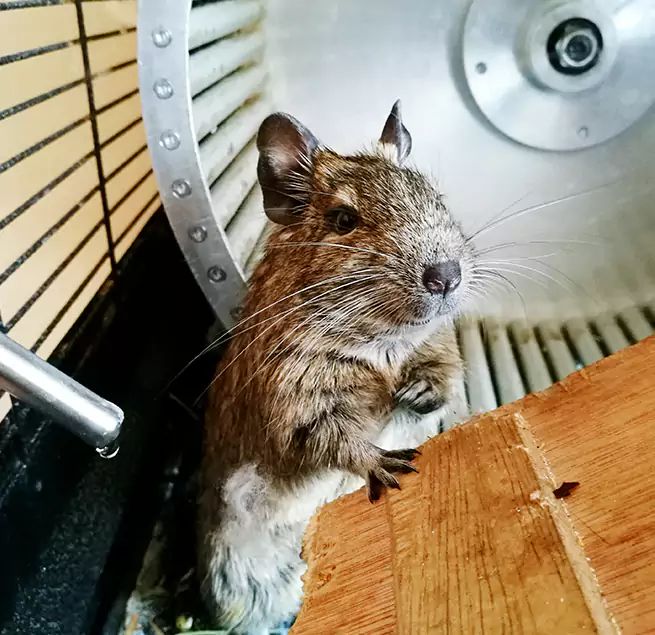 Why Homeowners & Businesses Trust Us Columbia Heights, MN